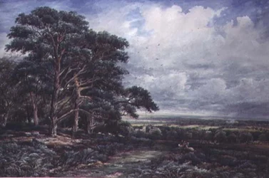 Parc de Bradgate près de Leicester