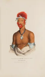 WAA-PA-LAA ou le renard joueur ; prince de la tribu des renards, tiré du Portefeuille autochtone
