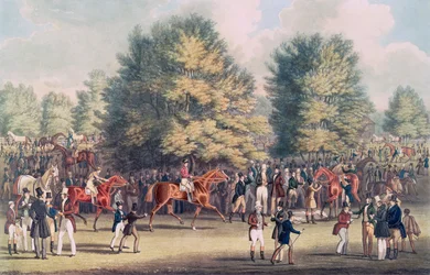 Epsom, Sellerie dans le Warren