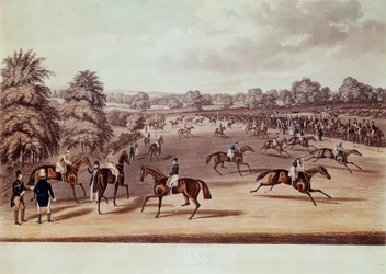 Course de chevaux à Epsom avant le départ