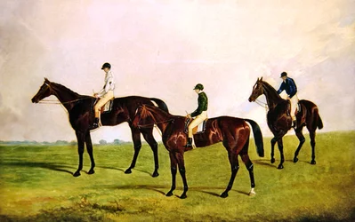 Chevaux de course avec jockeys