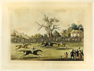 Grande course de steeple-chase de Saint Albans