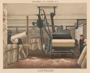 Progrès du coton, n° 3 : Cadre de lapin