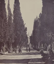 Vue dans le Grand Cimetière de Scutari