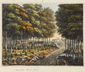 Bord de la Forêt de Soignes, de 