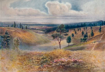 Vue de Beacon Hill, Hindhead