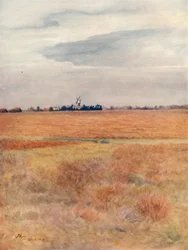Wimbledon Common, 1912, 1914