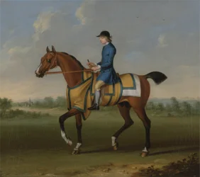 Un cheval de course bai avec jockey