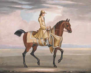 Un cheval alezan à l