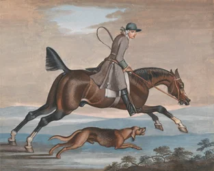 Chasse au renard