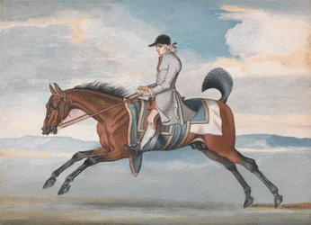 Cheval de course à l