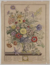 Novembre 1730