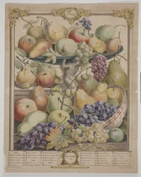 Novembre 1732