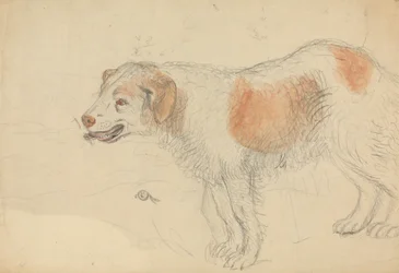 Un chien