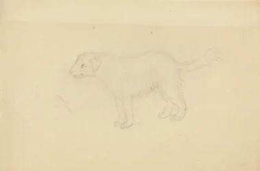 Un chien