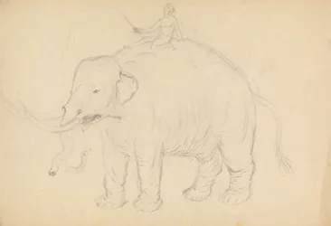 Éléphant avec cavalier