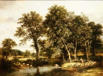 Bain de moutons