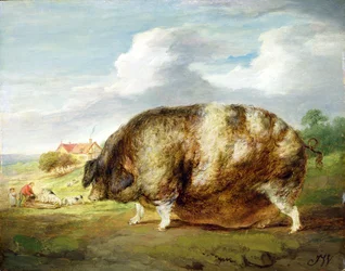 Un Gloucestershire Old Spot