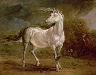 Un cheval gris dans un paysage