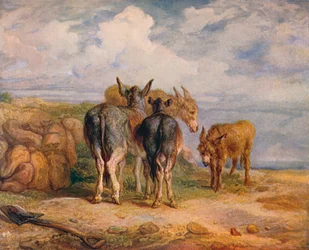 Ânes, vers 1831, 1904
