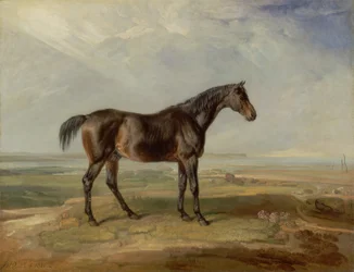 Dr. Syntax, un cheval de course bai, debout dans un paysage côtier, avec un estuaire au-delà