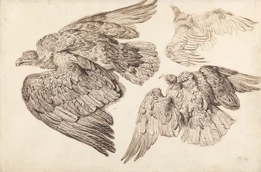 Aigles