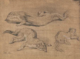 Furets