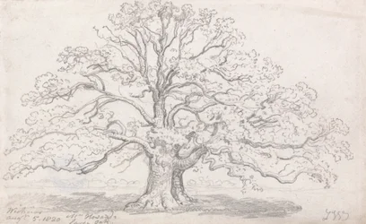 Le grand chêne de M. Howard, 5 août 1820