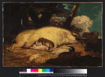 Cochons, pas avant 1793
