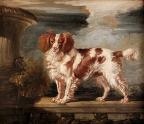 Portrait de Dash, un épagneul favori, propriété de Lady Frances Vane-Tempest