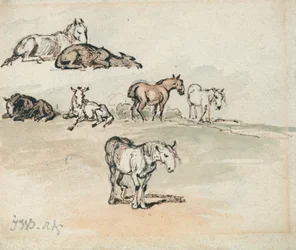 Études de chevaux