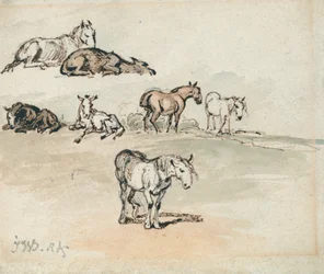 Études sur les chevaux