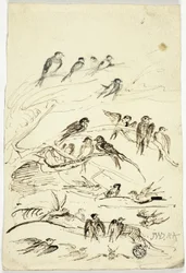 Hirondelles avant leur départ