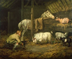 Jeune garçon et son chien dans une écurie avec un cheval et des moutons