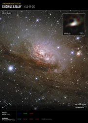 Galaxie Circinus (image prise par les télescopes Hubble et Webb)  