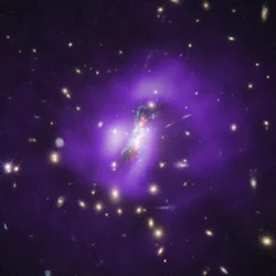 Amas de Phoenix (Hubble, Chandra, VLA)