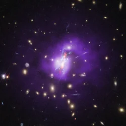 Webb dresse un tableau complet de la formation des étoiles dans l