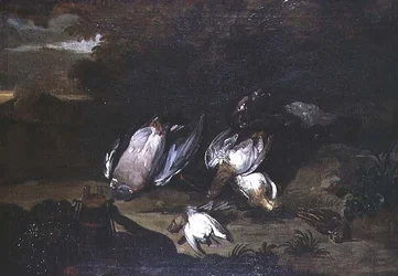 Nature morte de gibier mort