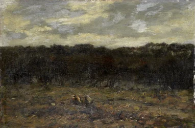 Marais sur la lande
