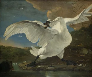 Le cygne menacé, c.1650