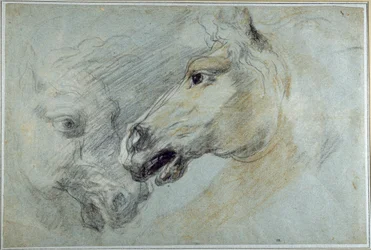 Deux études de tête de cheval