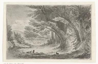 Lisière de forêt avec des lapins