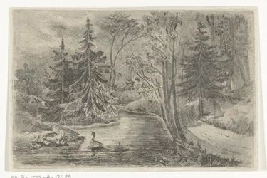 Chemin forestier près d