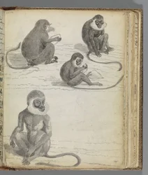 Autoportrait de Jan Brandes