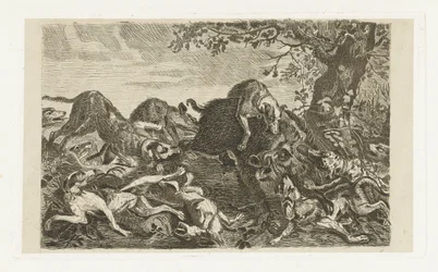 Chasse au sanglier avec des chiens