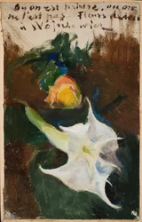 Fleurs