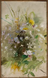 Fleurs des champs
