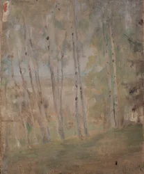 Mariino - Bouleaux