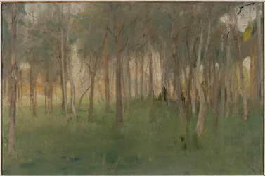 Marino - Bosquet