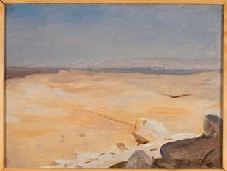 Motif du désert. D